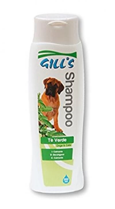 GILL&#039;S GEEN TEA šampūnas (su žaliosios arbatos ekstraktu) 200ml (6), C3052997