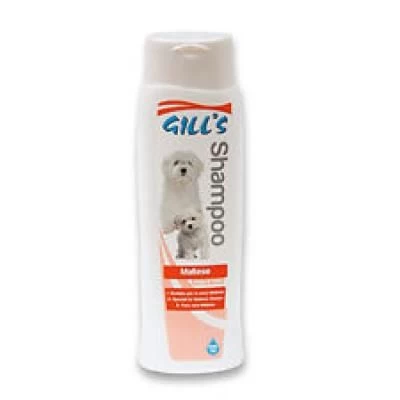 GILL&#039;S MALTESE šampūnas (Maltos bišonams, baltaplaukiams) 200ml (6), C3052984