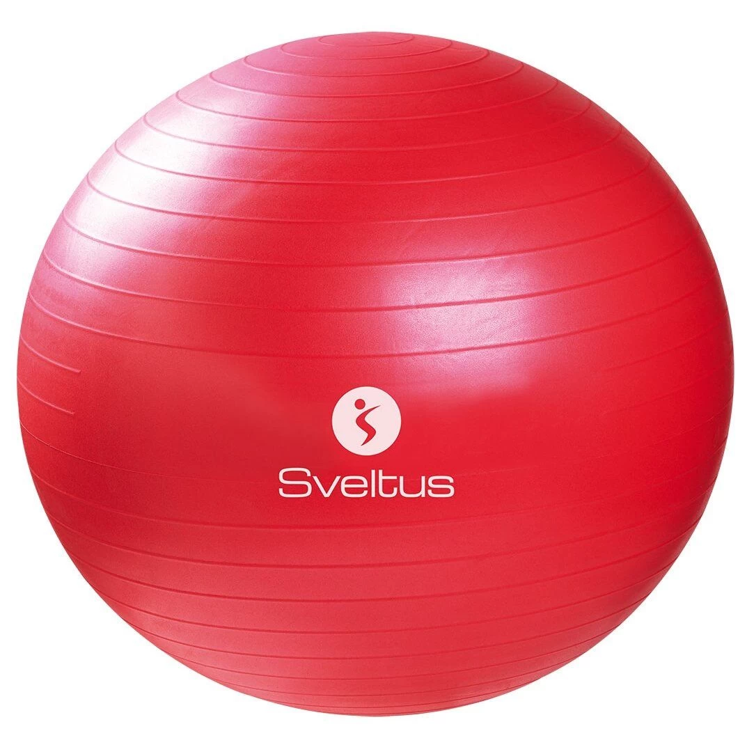 Gimnastikos kamuolys SVELTUS 0430 65CM