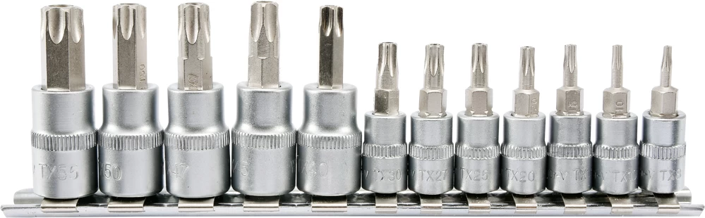 Įpresuotų antgalių rinkinys 1/4+3/8, 12 vnt T-Star su skylėmis T8-T55 (YT-04332)