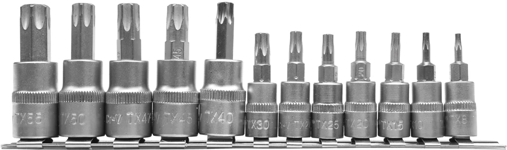 Įpresuotų antgalių rinkinys 1/4+3/8, 12 vnt T-Star, T8-T55 (YT-04331)