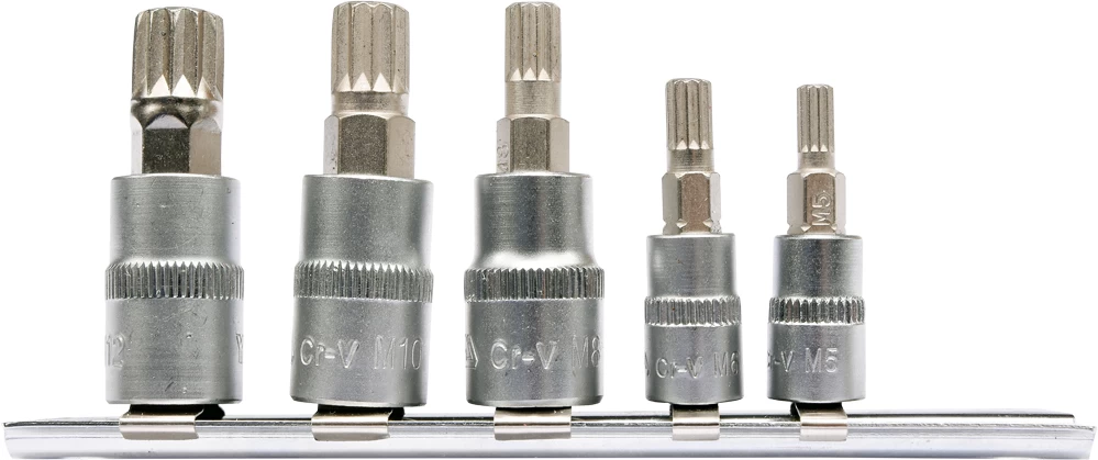 Įpresuotų antgalių rinkinys 1/4+3/8, 5 vnt Spline M5 - M12 (YT-04360)