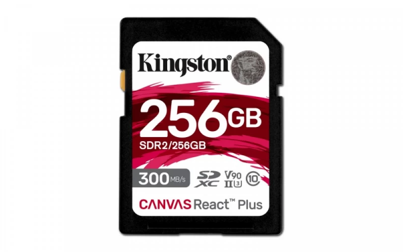 Kingston Atminties Kortelė 256 Gb