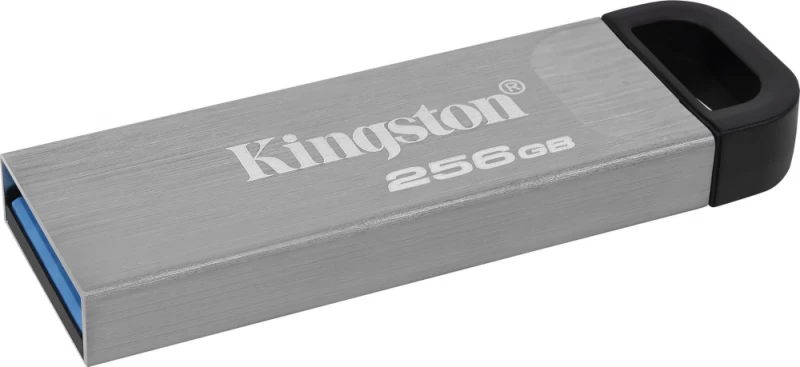 Kingston Dtkn/256gb flash Atmintinė (256 Gb / Sidabrinė / Juoda )