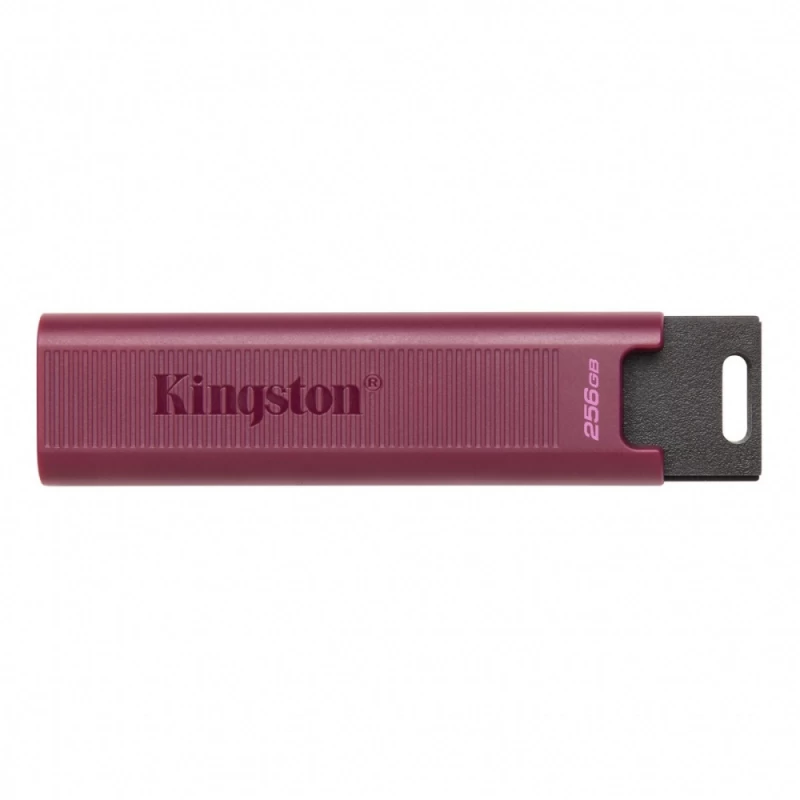 Kingston Dtmaxa/1tb flash Atmintinė (1tb / Violetinė )