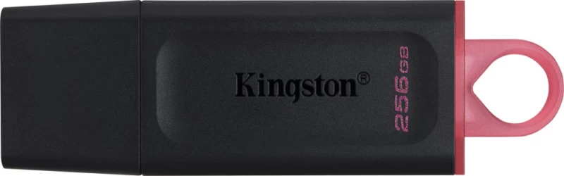 Kingston Dtx/256gb (256 Gb / Juoda Ir Rožinė )