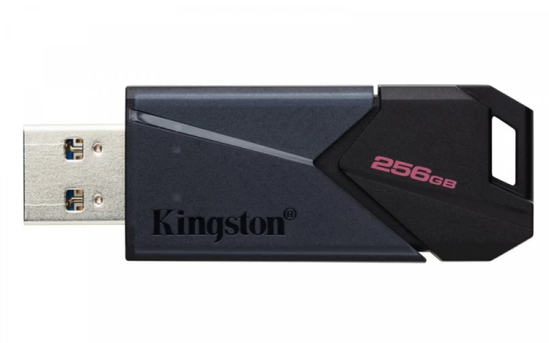 Kingston Dtxon/256gb Flash Diskas (256 Gb / Juodas )