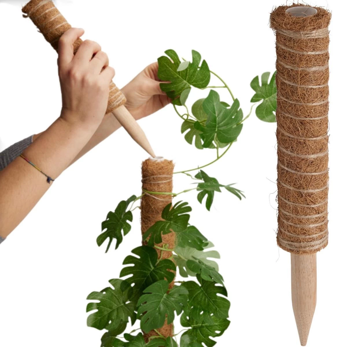 Kokoso Augalo Atrama 30 Cm Progarden