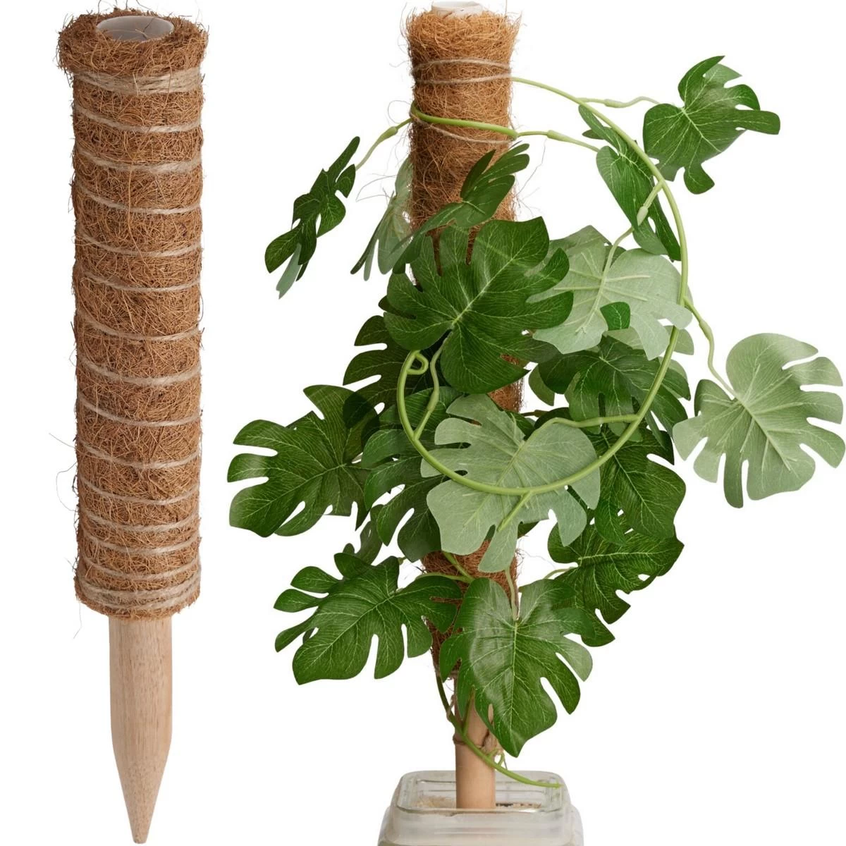 Kokosų Augalų Atrama 50 Cm Progarden