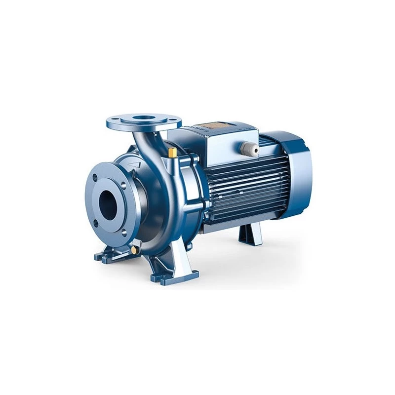 Konsolinis siurblys Pedrollo F4 80/160C, 380V