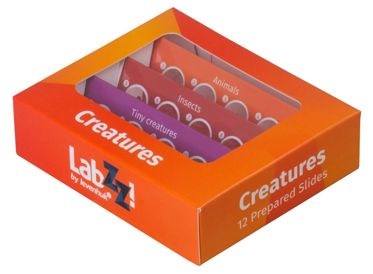levenhuk Labzz C12 Gyvūnų Skaidrių Rinkinys