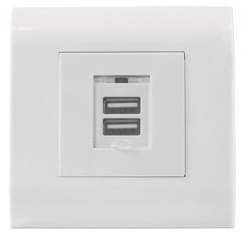 Lizdas 2xusb-a 5v/2.1 Podt Wh