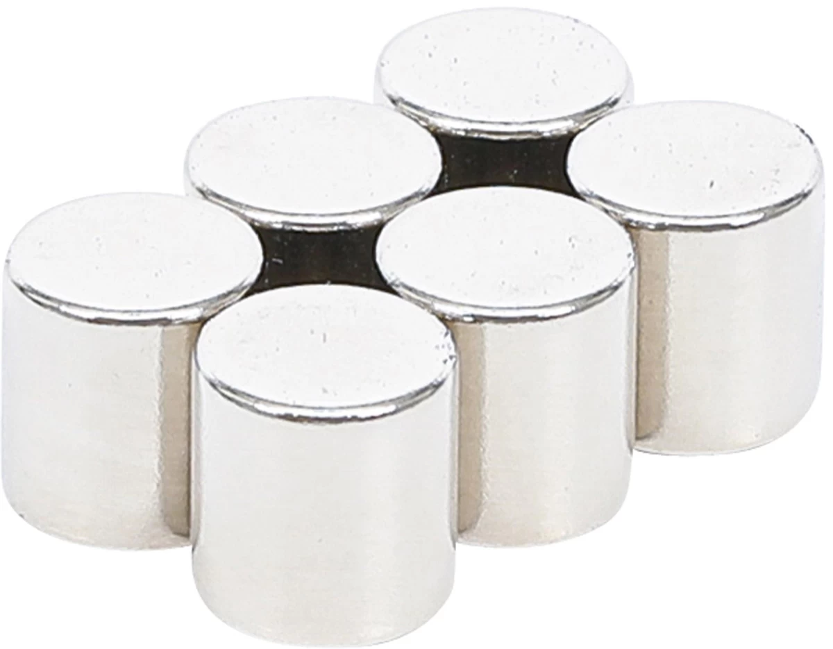 Magnetų rinkinys | ypač stiprūs | Ø 9,5 mm | 6 vnt. (79919B)