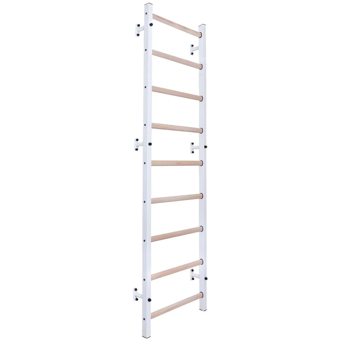 Medinės-metalinės Gimnastikos Kopėčios Benchk 700w