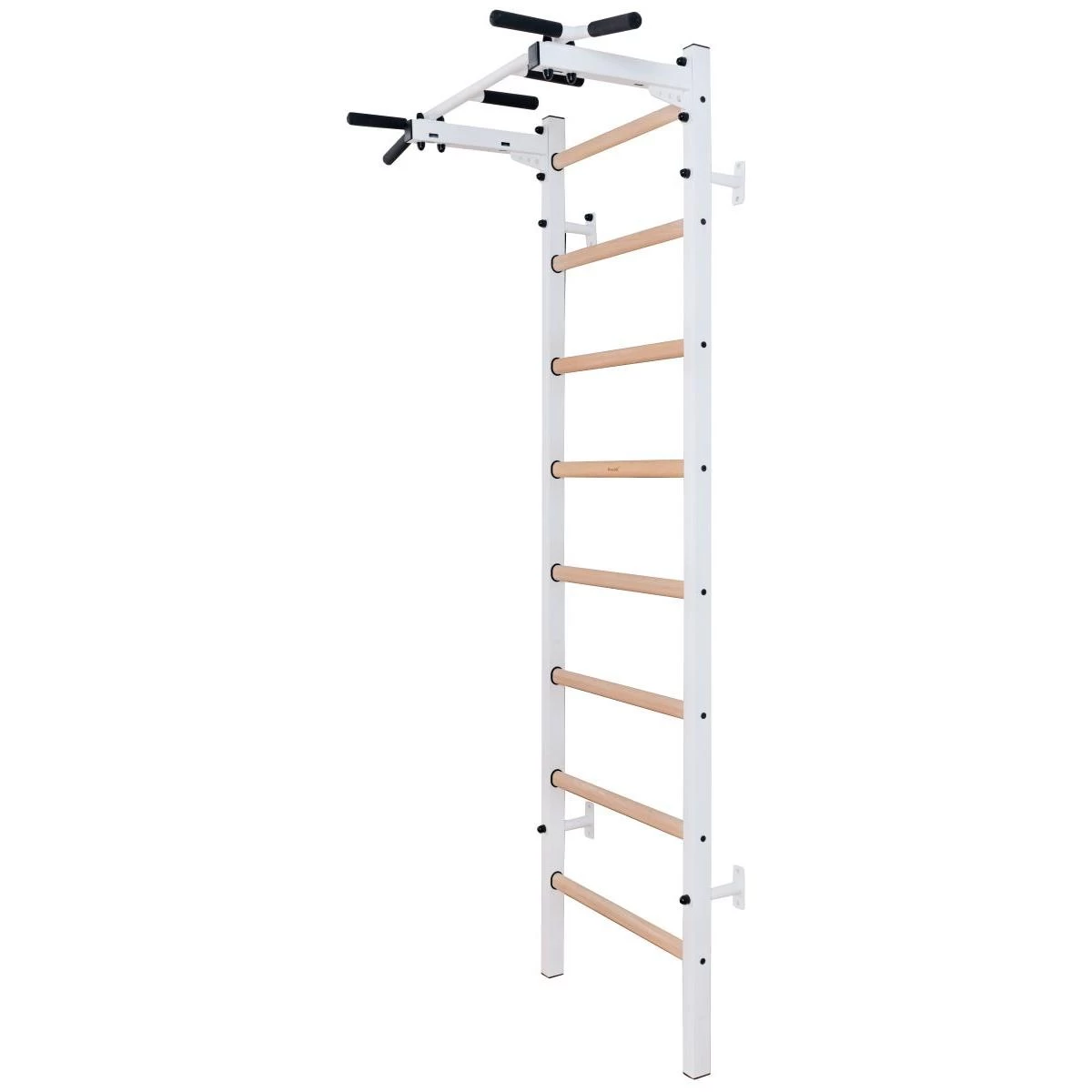 Medinės-metalinės Gimnastikos Kopėčios Su Strypu Benchk 221w