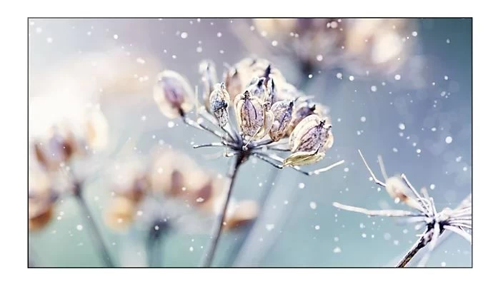 Monitorius Samsung Lh46vmbubgbxen (46&amp;quot; /ips /60hz /1920 X 1080 / Juodos Spalvos )