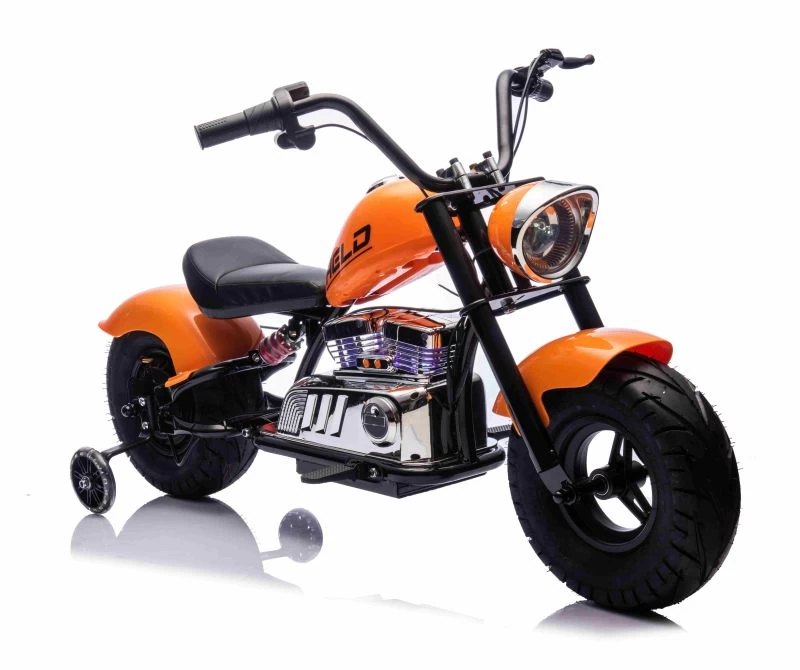 Motorinis Smulkintuvas held, Pneumatiniai Ratai Iki 25 Km/h, Apšviestas Variklis/xb1058