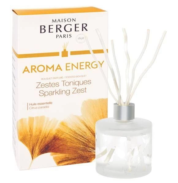 Namų kavapas Maison Berger Aroma Energy 180 ml