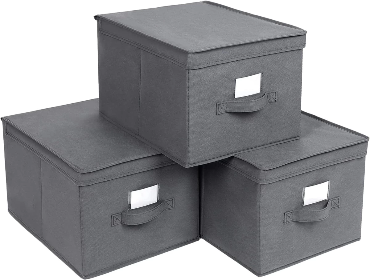 Organizatorius X3 - Rfb03g