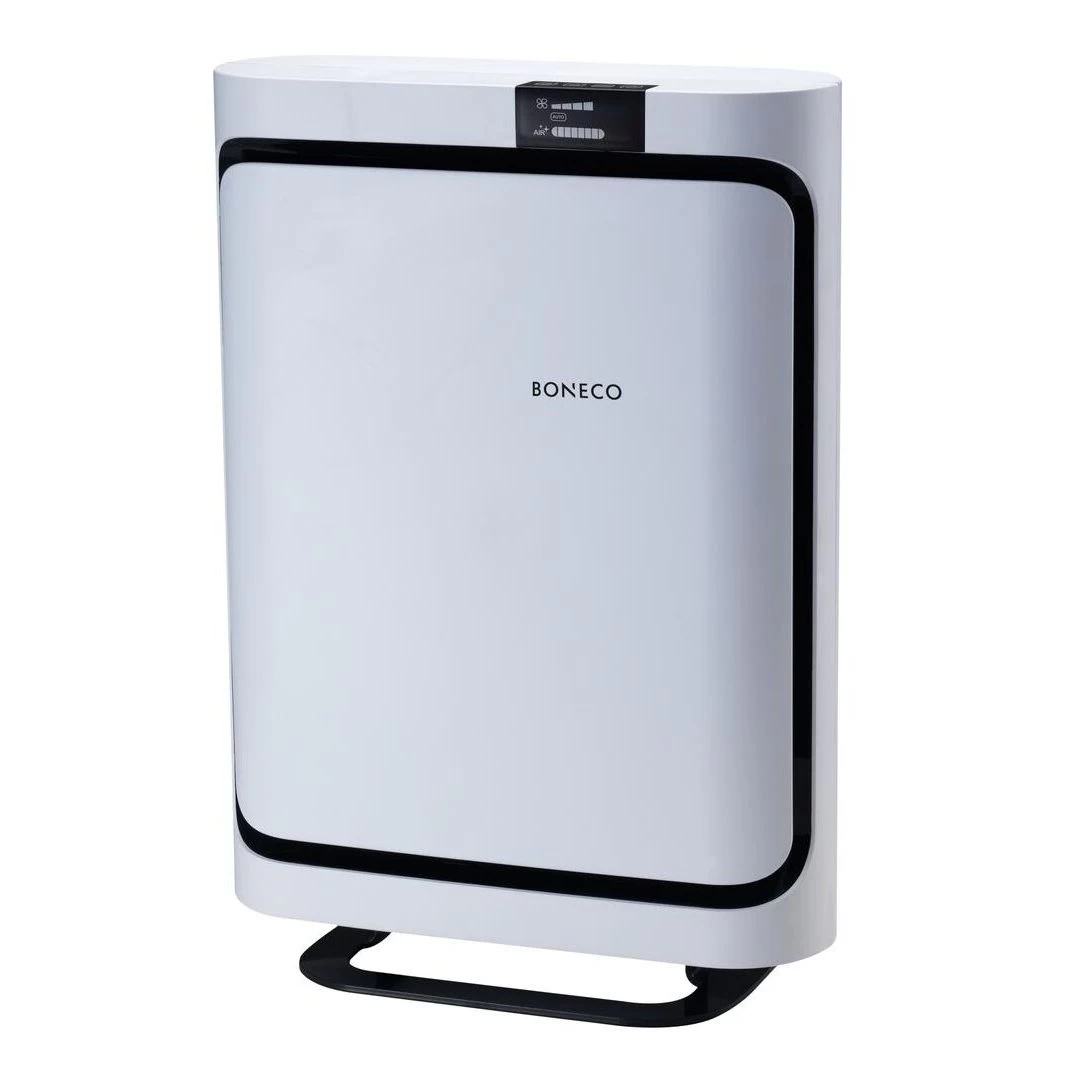 Oro valytuvas Boneco P500