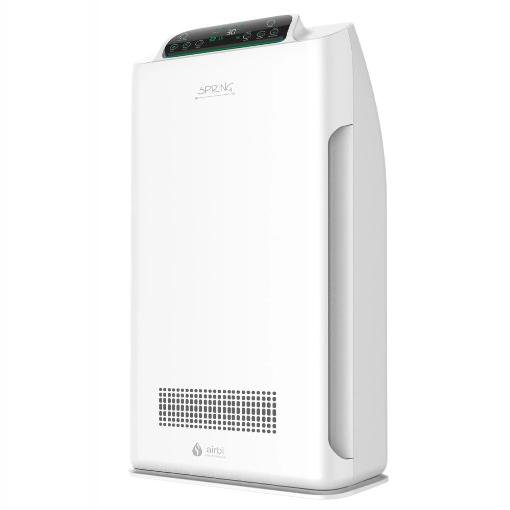 Oro Valytuvas SPRING WIFI Airbi Kainos
