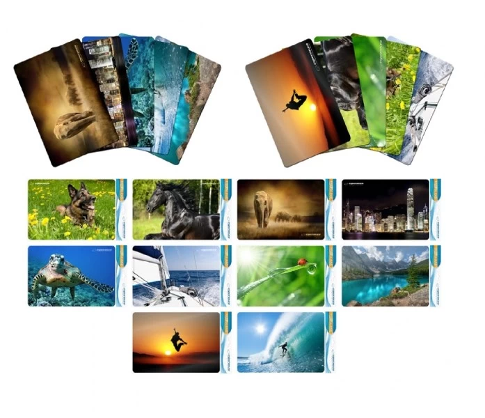 Pad under the mouse Esperanza Foto Mix EA133