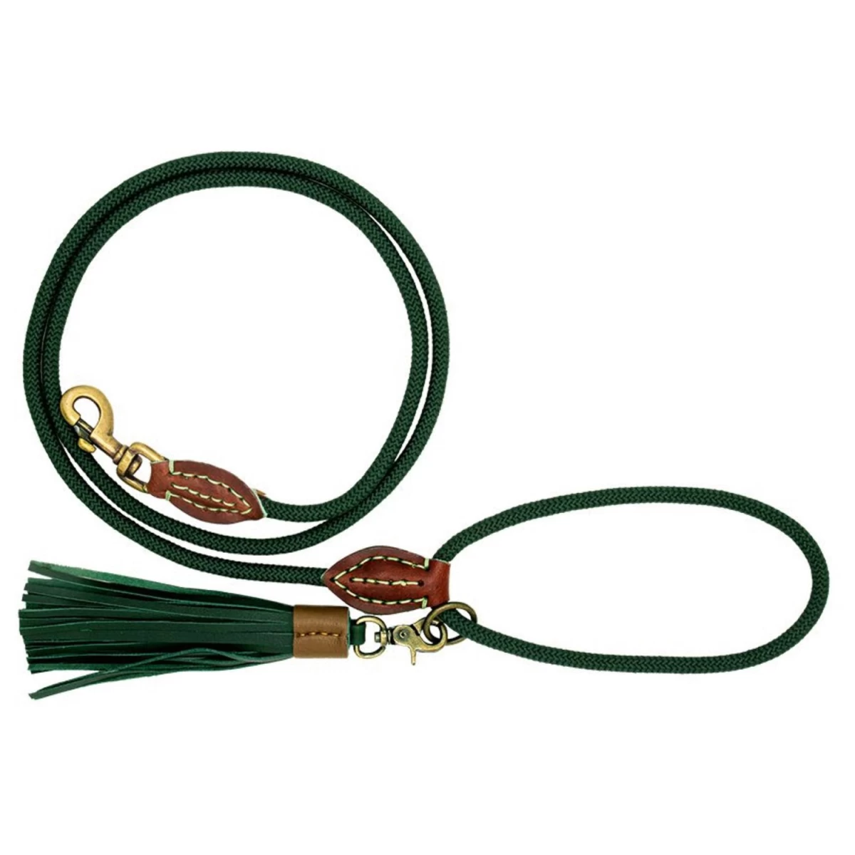 Pavadėlis šunims Bowie S 165x1cm, 73793