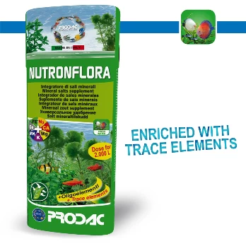 PRODAC NUTRONFLORA trąšos augalams 100ml-&amp;gt;5000l, FLO100.01
