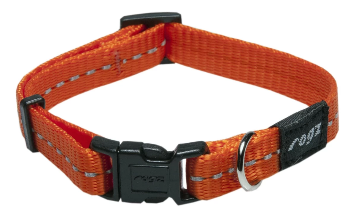 ROGZ antkaklis 20-31x1.1cm HB14D oranžinis, HB14D