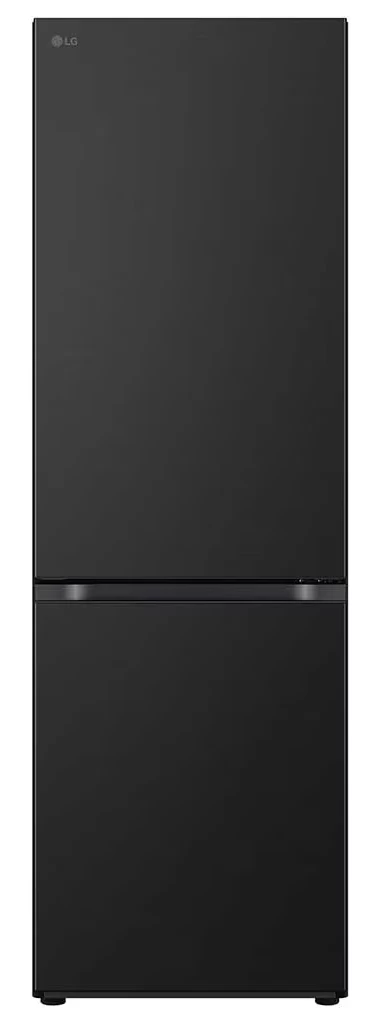 Šaldytuvas LG GBV3100EEP