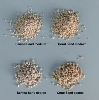 Samoa baltas argonito smėlis 3-4mm 15kg, 4207_4