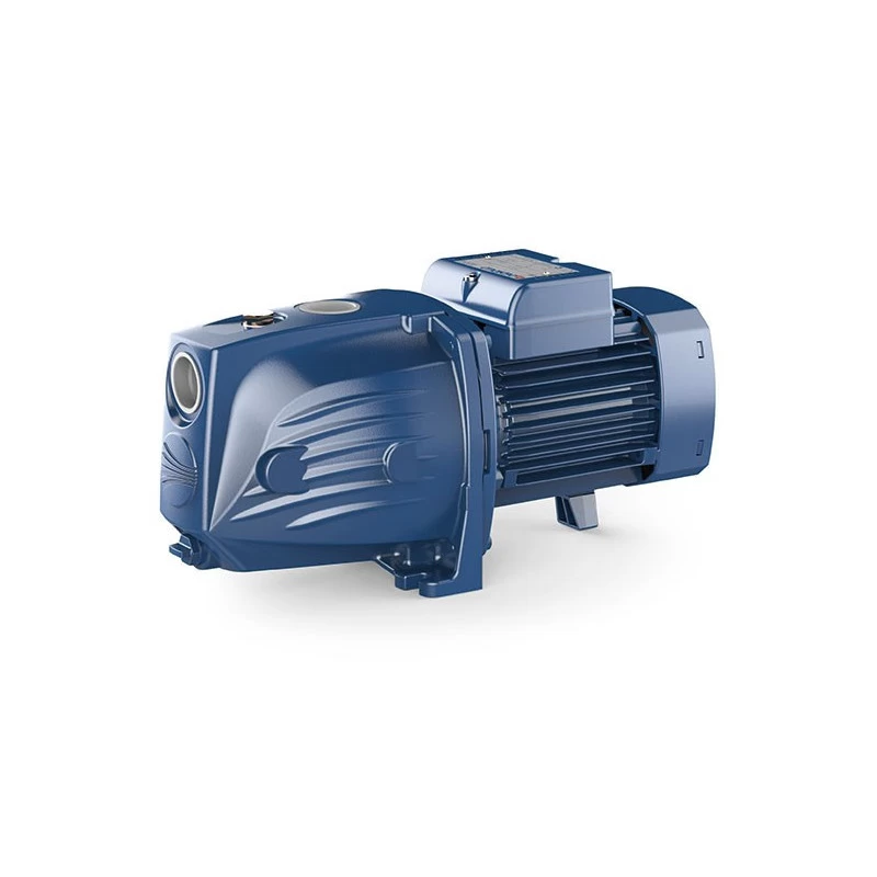 Sausai statomas horizontalus siurblys Pedrollo JSW1BX-N 380V