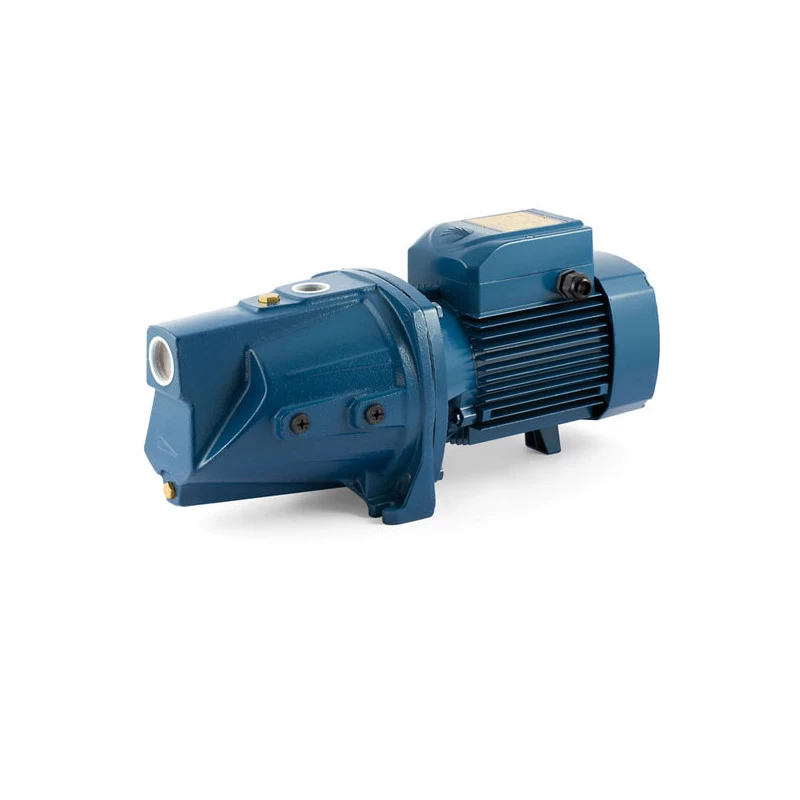 Sausai statomas horizontalus siurblys Pedrollo JSWm3CH-N 220V