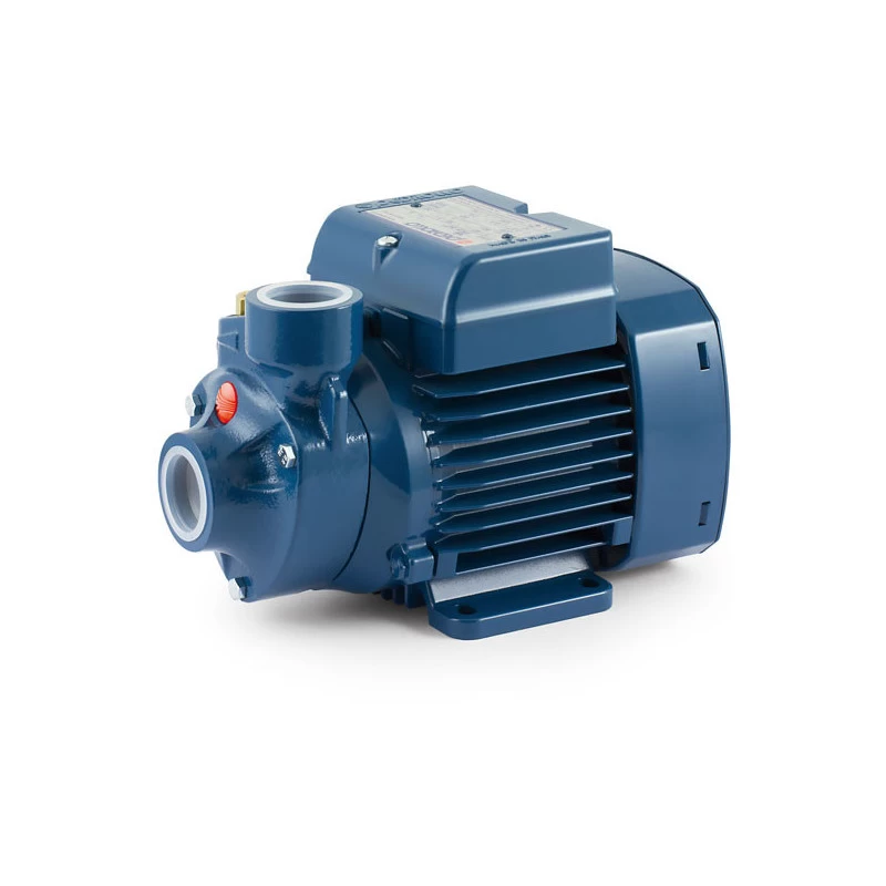 Sausai statomas horizontalus siurblys Pedrollo PKm300 220V