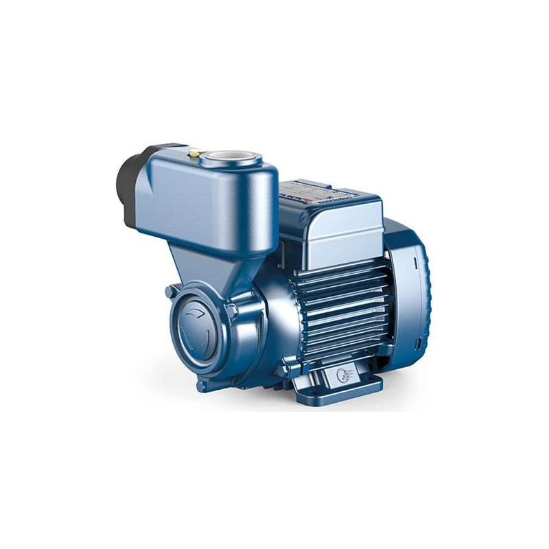 Sausai statomas horizontalus siurblys Pedrollo PKSm80 220V