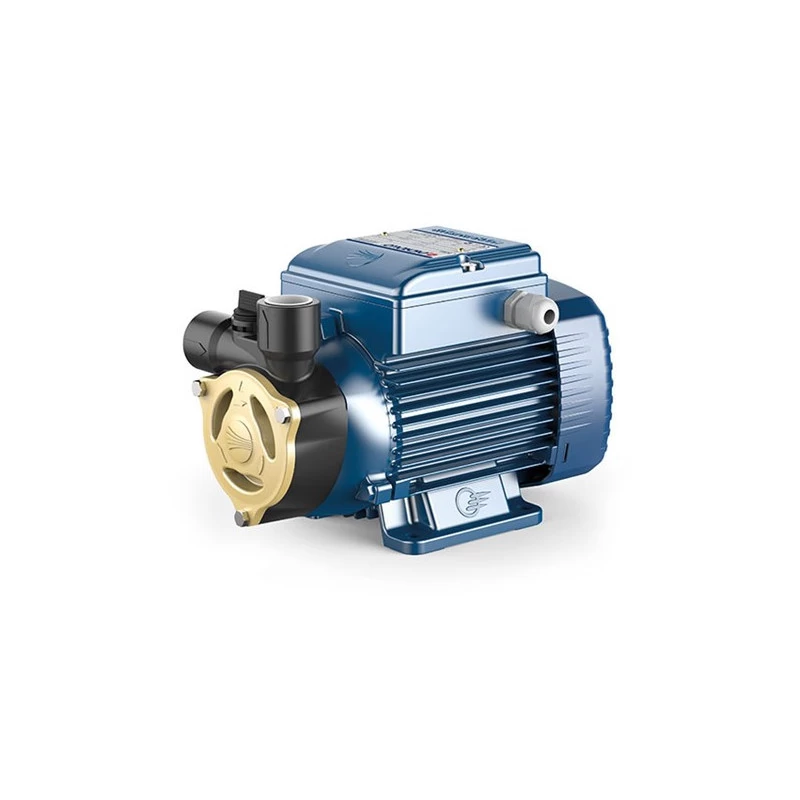 Sausai statomas horizontalus siurblys Pedrollo PQAm 90 230V