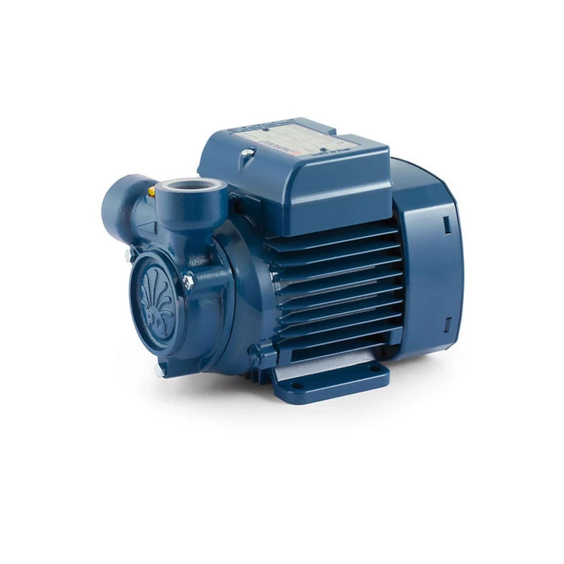 Sausai statomas horizontalus siurblys Pedrollo PQm60 220V