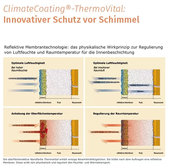 Antipelėsiniai dažai ThermoVital - prevencija prieš grybelį