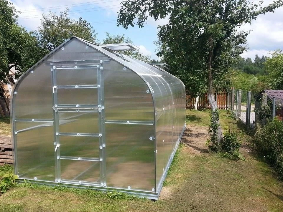 Šiltnamis 15 m2, 4 mm danga Standart KLASIKA, 4779037490271