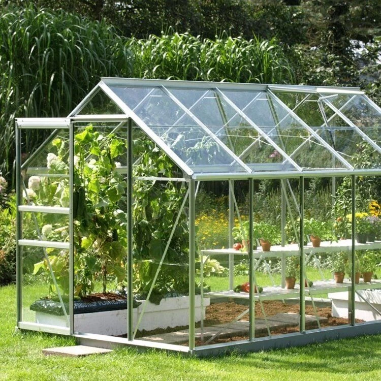 Šiltnamis COMFORT (plotis 2m) danga 4mm, 6m