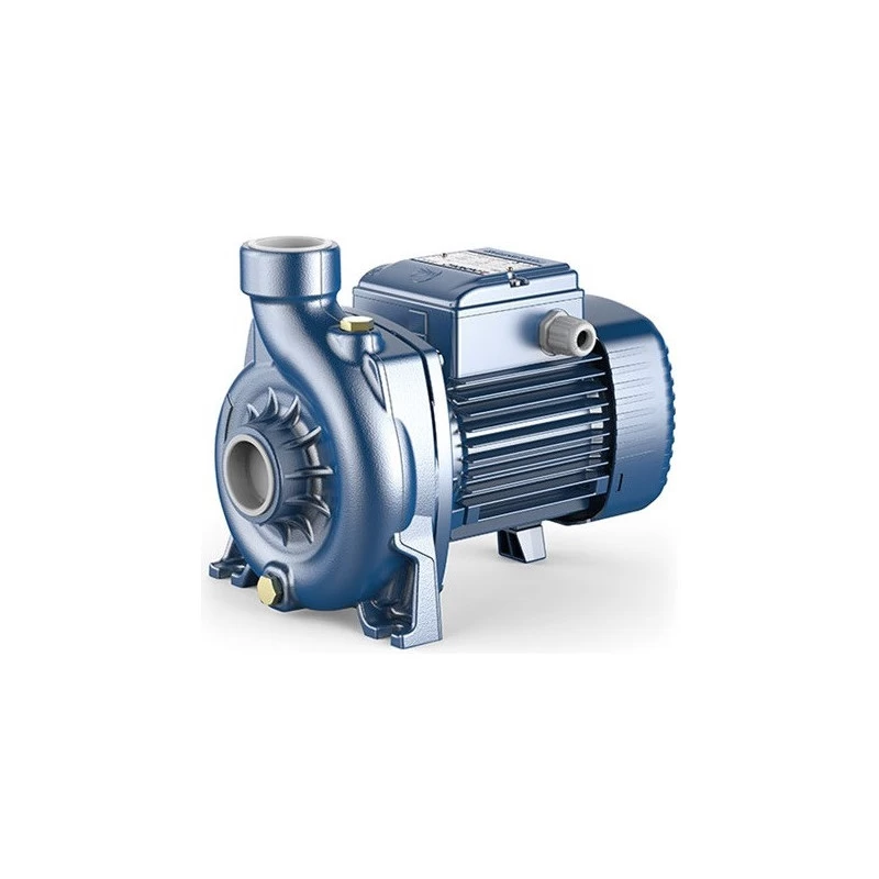 Siurblys su atviro tipo darbo ratu Pedrollo NGAm 1A 230V