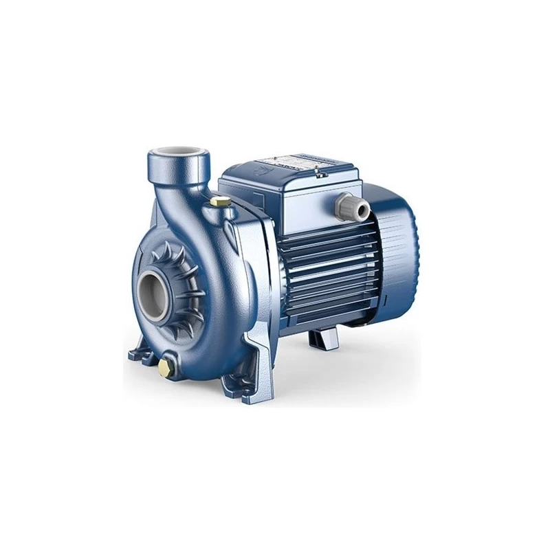 Siurblys su atviro tipo darbo ratu Pedrollo NGAm 3B 230V