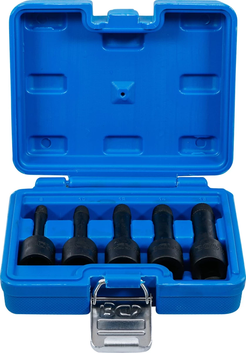 Specialus antgalių rinkinys / sraigtiniai ištraukikliai | 12,5 mm (1/2) | 8 - 16 mm | 5 vnt. (5261)