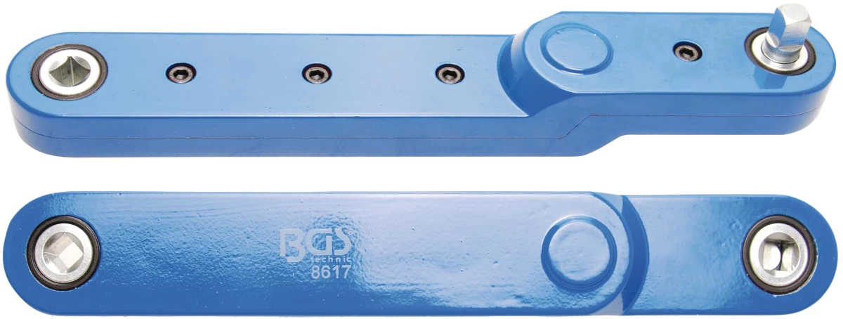 Specialus rotorinis ilgintuvas | 10 mm (3/8) (8617)