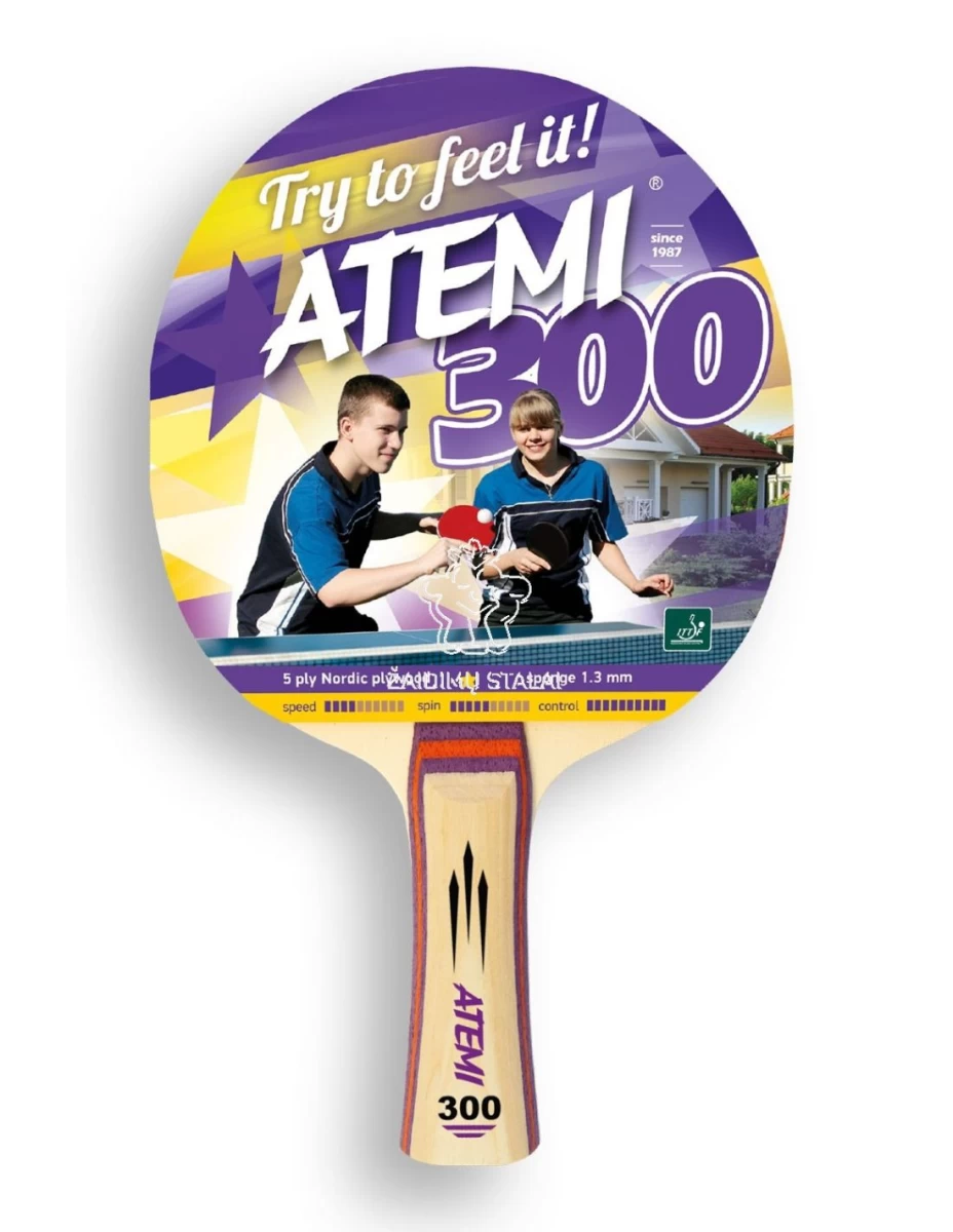 Stalo teniso raketė ATEMI 300