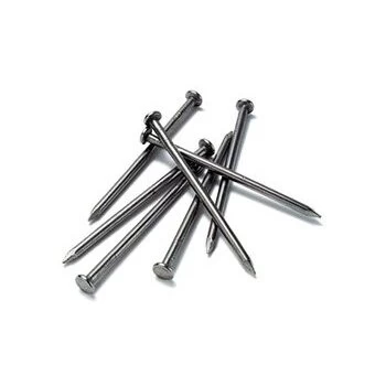 Statybinės vinys, cinkuotos, 1,4x25mm