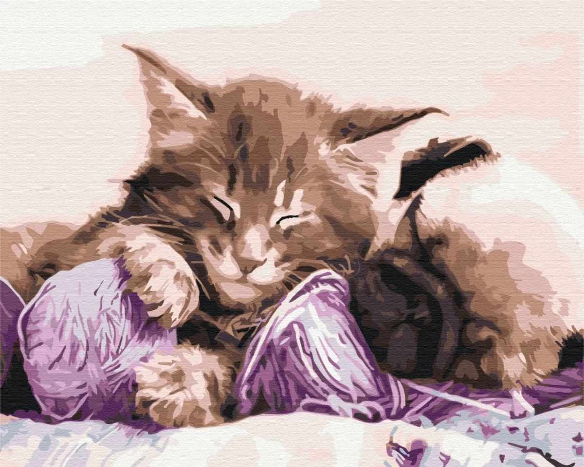 Symag Paint it! Cat and  dog