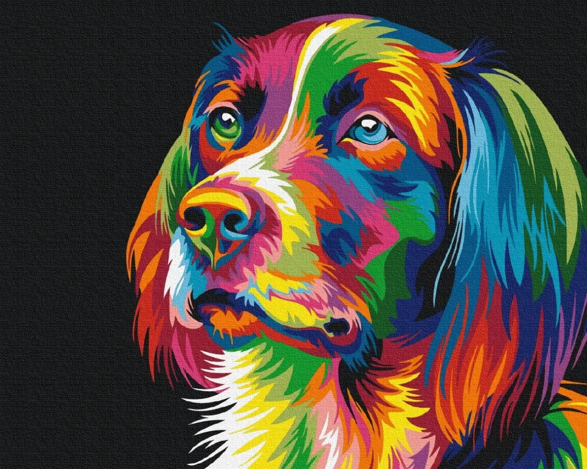 Symag Paint it - Dog in  colors