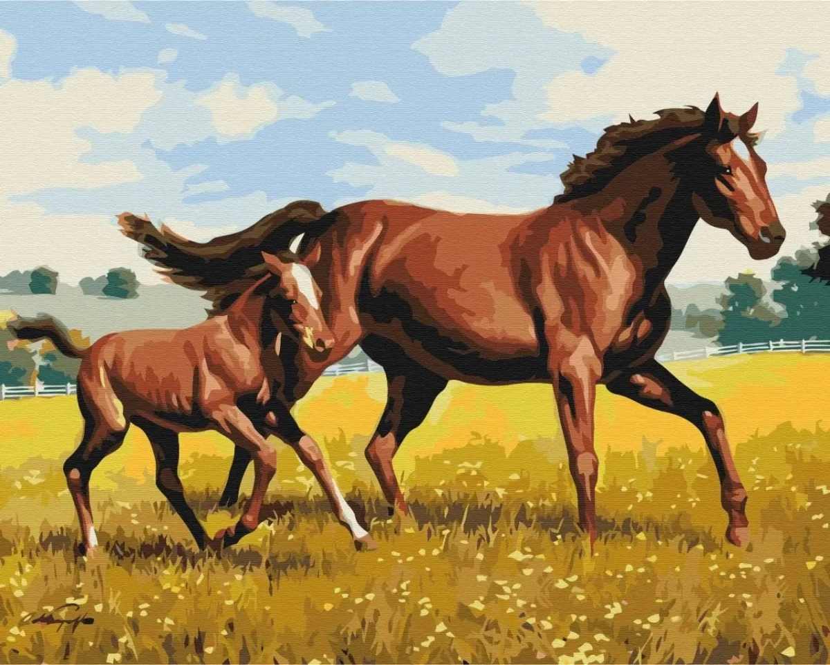Symag Paint it! -        Family gallop