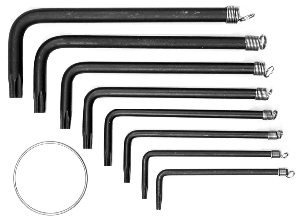 T10-T40 RAKTŲ ŽVAIGŽD. RINK. TORX* 8vnt.